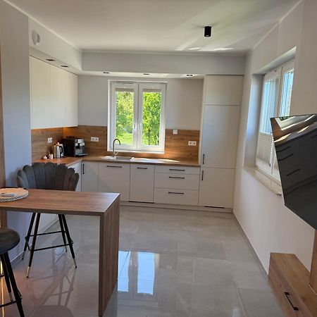 Apartament Nad Barycza Міліч Екстер'єр фото